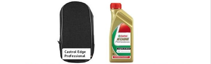 Aceite Castrol Profesional por 20€