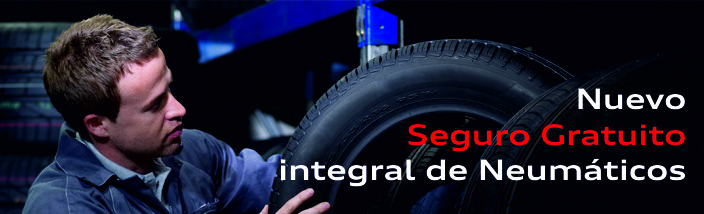 Seguro integral en Dunlop, Goodyear y Pirelli