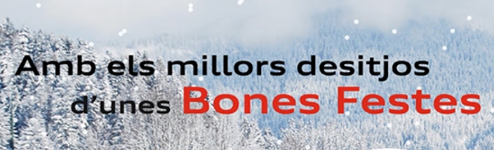 Amb els millors desitjos d'unes Bones Festes