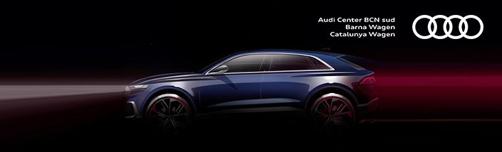 Audi Q8 Concept: debutará en el Salón de Detroit