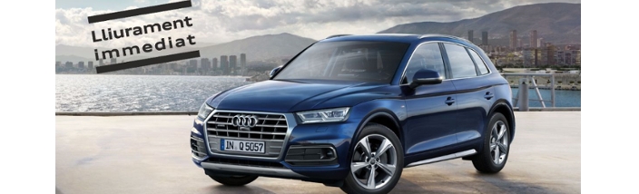 Audi Q5 per 41.300 euros*